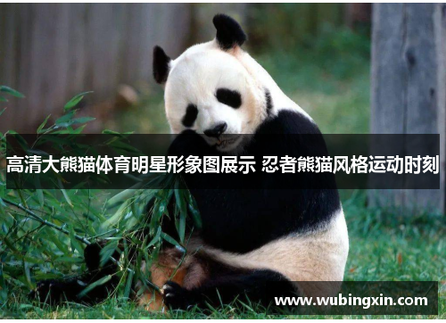 高清大熊猫体育明星形象图展示 忍者熊猫风格运动时刻